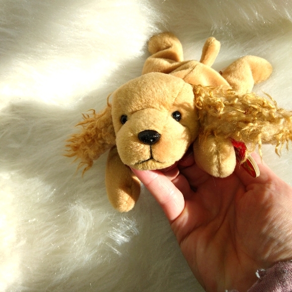 Ty Beanie Baby Spunky the Cocker Spaniel Dog, 1997 - Picture 1 of 8